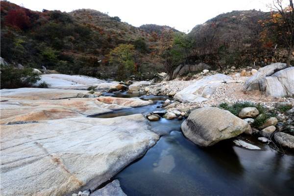 姚家山旅游風(fēng)景區(qū)賞花拓展游玩好地方