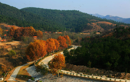 武漢黃陂區(qū)云霧山拓展基地